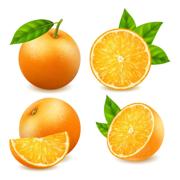 ilustrações de stock, clip art, desenhos animados e ícones de realistic detailed 3d fresh ripe whole and slice of oranges set. vector - orange