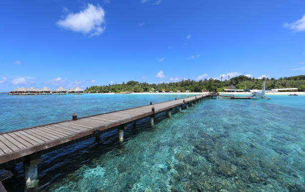 istock seaplane on a tropical island, Maldives 1314353898