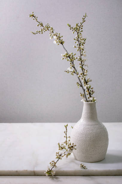 istock Blossom cherry branches in white porcelain vase 1314353999
