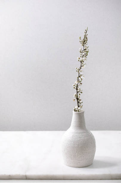 istock Blossom cherry branches in white porcelain vase 1314354006