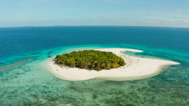 istock Tropical island with sandy beach. Balabac, Palawan, Philippines 1314354152