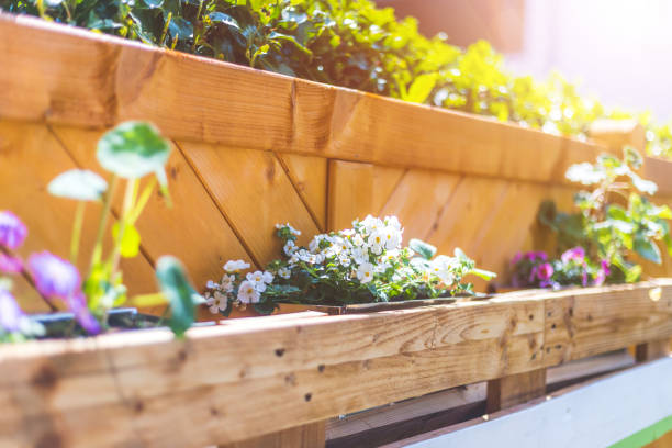 Do it yourself flower box in the own garden: Spring flowers in euro palette stock photo
