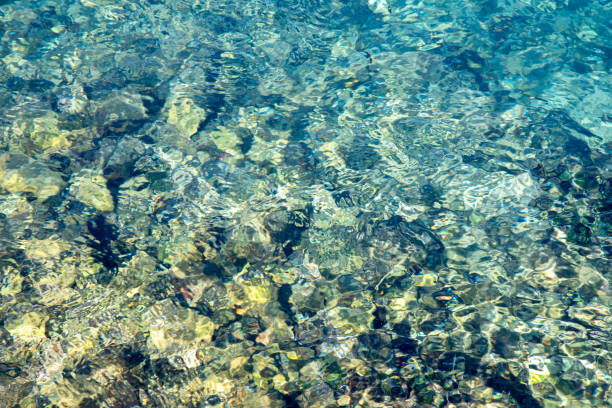 istock The pebbles at the bottom of the stream 1314357065