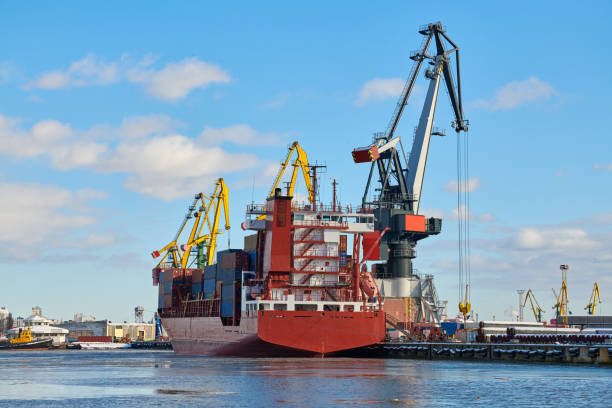 istock Moored ships and harbor cranes in port 1314357947