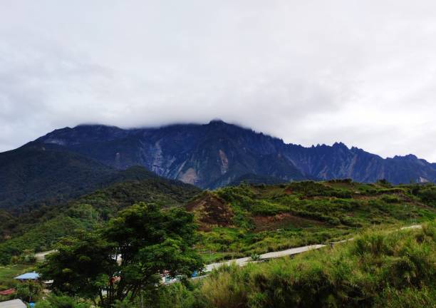 This Photo is Taken On March 2021 On Alpacas Club Homestay with MI 10T Pro