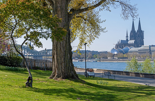 Cologne, 25 April 2021, Germany: View to Cologne Cathedral from the Rheinpark on the right bank of the river Rhine
