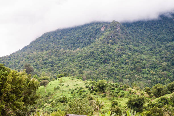istock Misty view Chiang Dao, Chiang Mai 1314359569