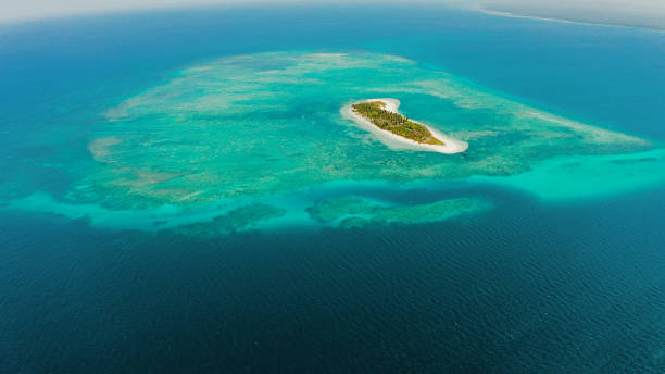 istock Beautiful beach on a tropical island. Balabac, Palawan, Philippines 1314360054