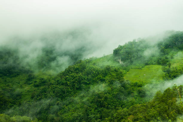 istock Misty view Chiang Dao, Chiang Mai 1314360104