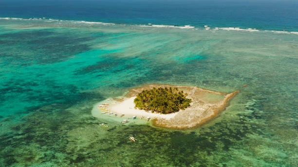 istock Tropical Guyam Island with a sandy beach and tourists 1314360124