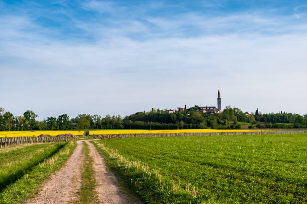 istock Colza fields and vineyards in the italian countryside 1314360280
