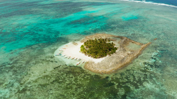 istock Tropical Daco Island with a sandy beach and tourists 1314361038
