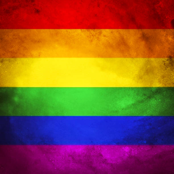 istock International pride day flag lgbtqia+ 1314361443
