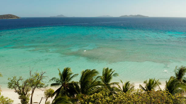 istock torpical island with white sandy beach, top view 1314362271