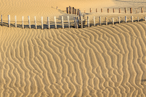 Sand barriers erected at different angles and locations to protect fragile dunes from erosion on a beach