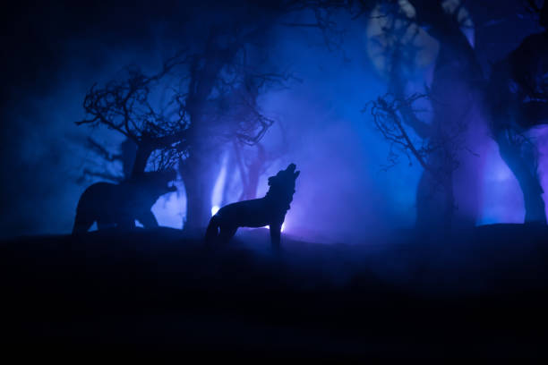 istock Silhouette of howling wolf against dead forest skyline and full moon. Creative artwork decoration. 1314370898