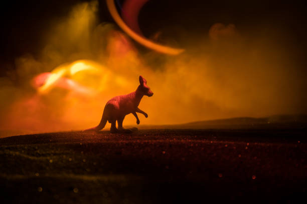istock Kangaroo miniature standing at foggy night. Creative table decoration with colorful backlight with fog. 1314370902