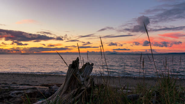 istock Whidbey Island sunset over Admiralty Inlet 1314371663