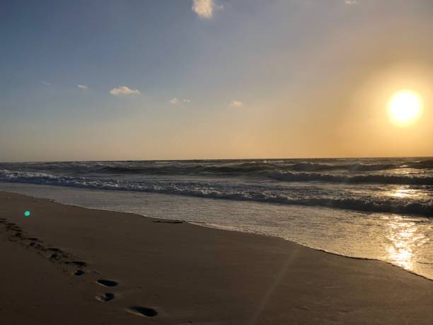 istock Sunset on Alexandria beach 1314372522
