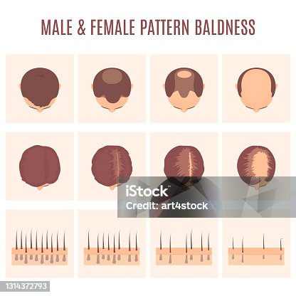 56 Step Cut Hairstyle Stock Photos, Pictures & Royalty-Free Images - iStock 56 Step Cut Hairstyle Stock Photos, Pictures & Royalty-Free Images - iStock