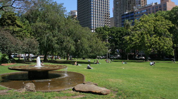 Hyde Park in Sydney in New South Wales in Australia Hyde Park in Sydney in New South Wales in Australia hyde park sydney stock pictures, royalty-free photos & images