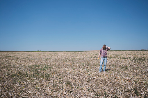 Worried farmer wearing cowboy hat at his corn agricultural field destroyed by drought and disease