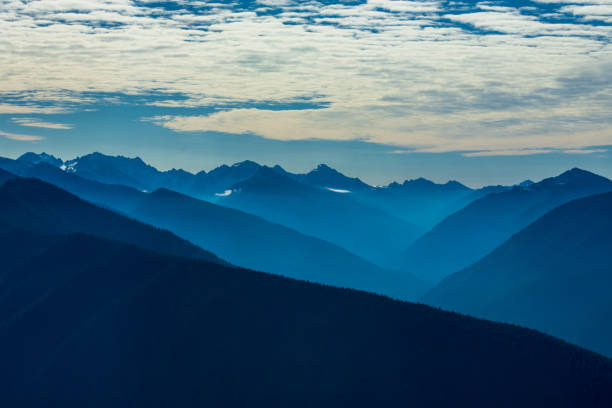 istock Hurricane Ridge, Olympic National Park, Washington 1314375501