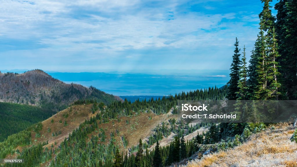 Port Angelas and the Strait of  de Fuca from Hurricane Ridge, Olympic National Park, Washington Mountain Stock Photo