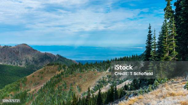 Port Angelas And The Strait Of De Fuca From Hurricane Ridge Olympic National Park Washington Stock Photo - Download Image Now