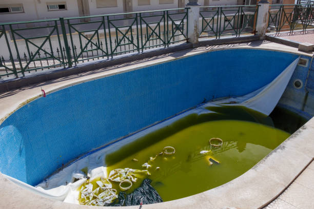 Empty dirty swimming pool. Trash and green water. Abandoned stock photo