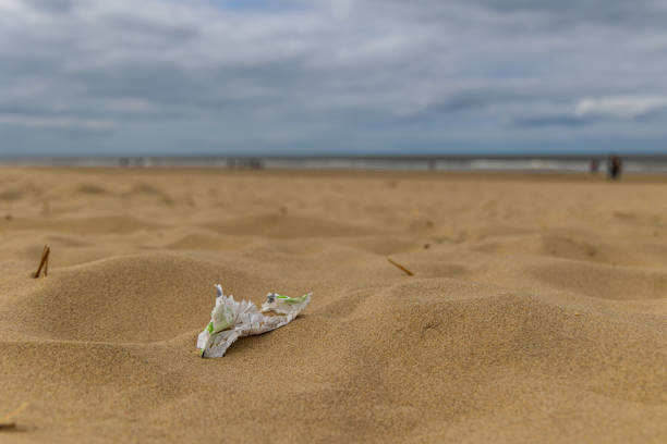 istock Beach with paper debris close up 1314376997