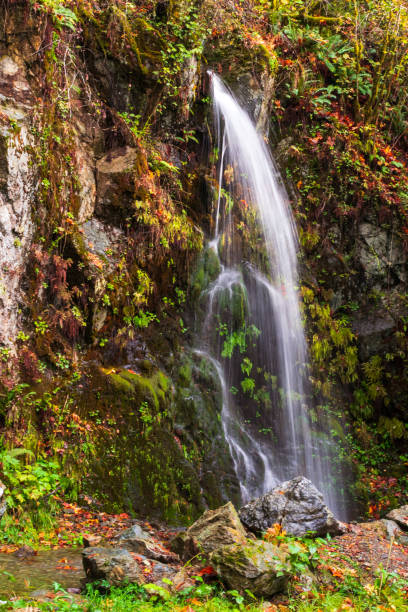 istock Waterfall near Baker Lake, Mount Baker Snoqualmie National Forest, Washington 1314377267