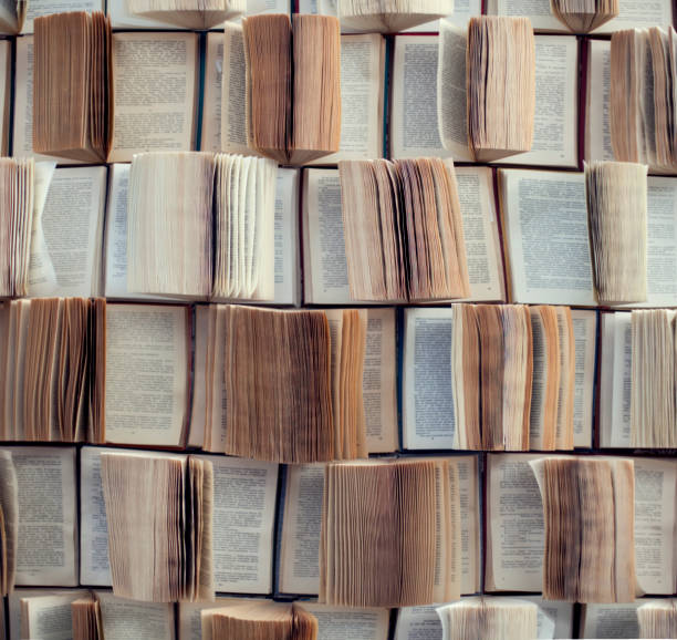 istock Open books, Abstract blur and defocused bookshelf in library interior for background 1314377349