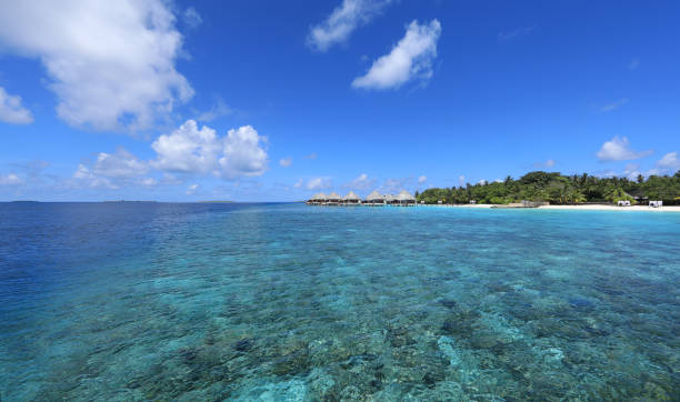 istock overwater bungalow on a tropical island, Maldives 1314377524