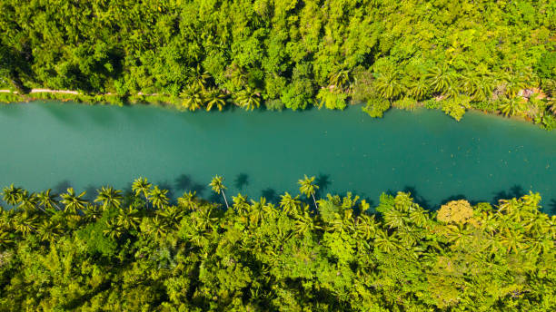 istock Loboc river in the jungle. Bohol, Philippines 1314378589