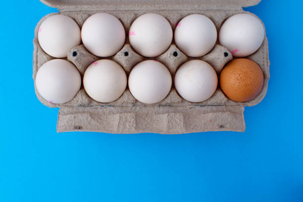 istock A package of white chicken eggs and one brown egg on a blue background. Preparing for Easter 1314378687