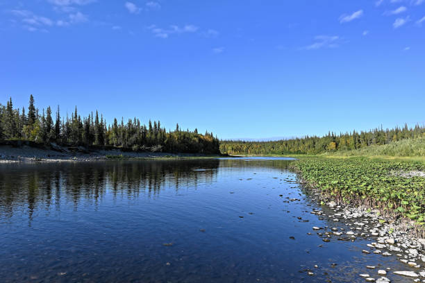 istock Northern river on a sunny summer day. 1314379722