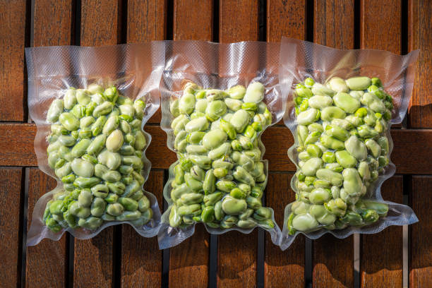 grãos largos também feijão lima descascado em saco plástico selado a vácuo pronto para ser congelado - broad bean - fotografias e filmes do acervo