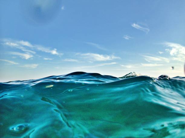 istock Swimming on sea level 1314382817