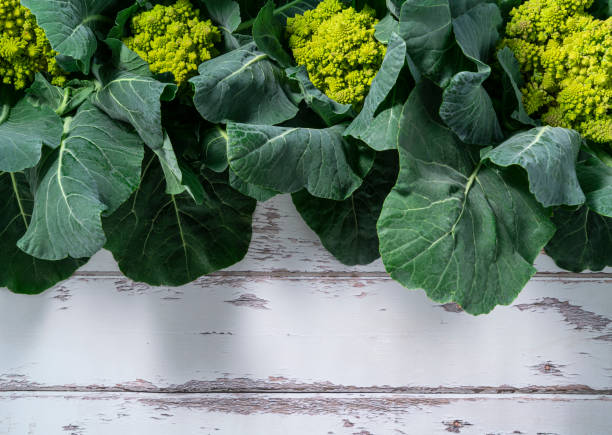 romanesco broccoli disposizione cavolo con le foglie di piante - romanesque broccoli cauliflower cabbage foto e immagini stock