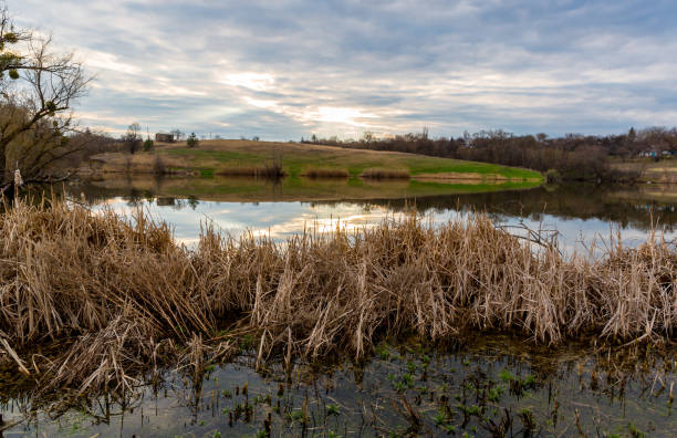 istock evening scene on wild lake in spring evening 1314388344