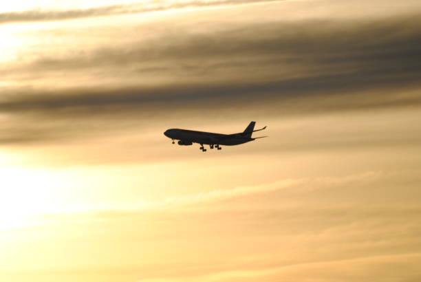 istock airplane landing in the sunshine 1314389253