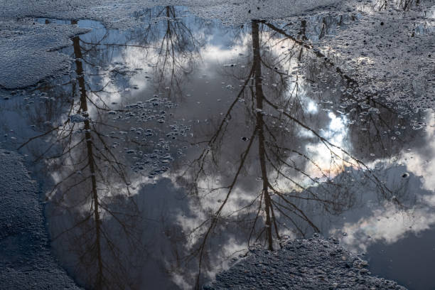 istock Reflection of trees without leaves, sky, clouds and sun in a puddle on the asphalt. 1314389324