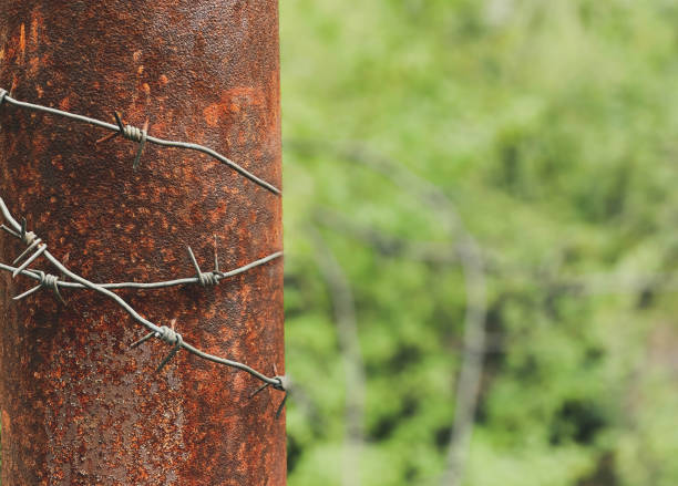 Close-up of a pillar on which a barbed wire is stretched with sharp thorns located on it against a background of growing greenery.