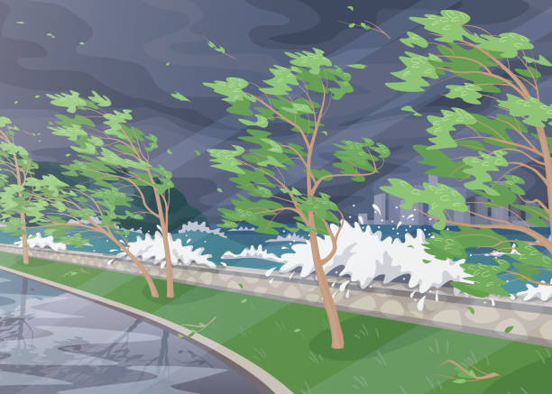 stockillustraties, clipart, cartoons en iconen met het landschap van de kust met onweer in oceaan - tyfoon