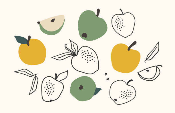 Set of drawn apples, Vector illustration. Isolated elements Set of drawn apples, Vector illustration. Isolated elements for design yellow apple tree stock illustrations