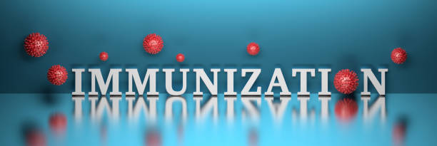 istock Wide banner with word immunization and red virus particles 1314395328