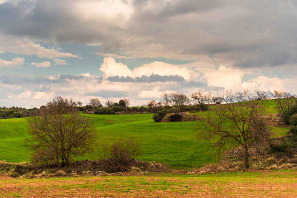 istock spring countryside landscape inside Catalonia region 1314395979