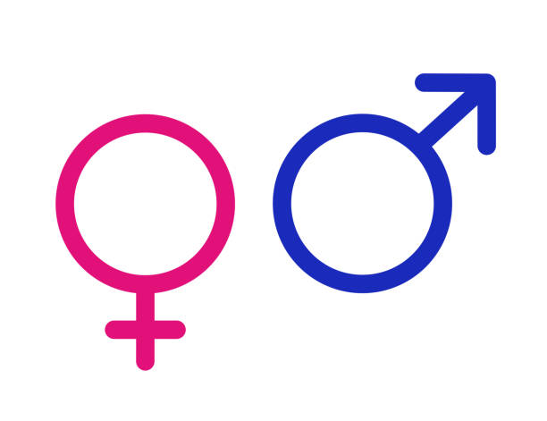 Vector illustration of gender symbols (male and female). Female,boy, girl, man, woman icons. Feminine and masculine. Vector illustration of gender symbols (male and female). Female,boy, girl, man, woman icons. Feminine and masculine signs. Relationship between men and women. Gender equality, sexual orientation. gender symbol stock illustrations
