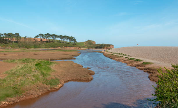 istock Budleigh Salterton River and Beach 1314397581